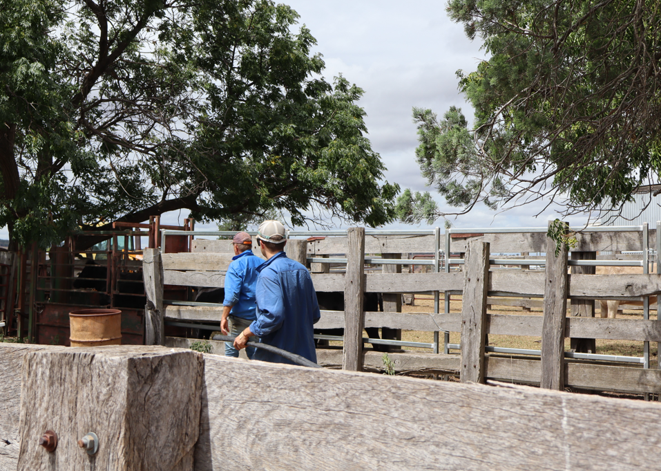 The Future of Farming: Empowering the Next Generation
