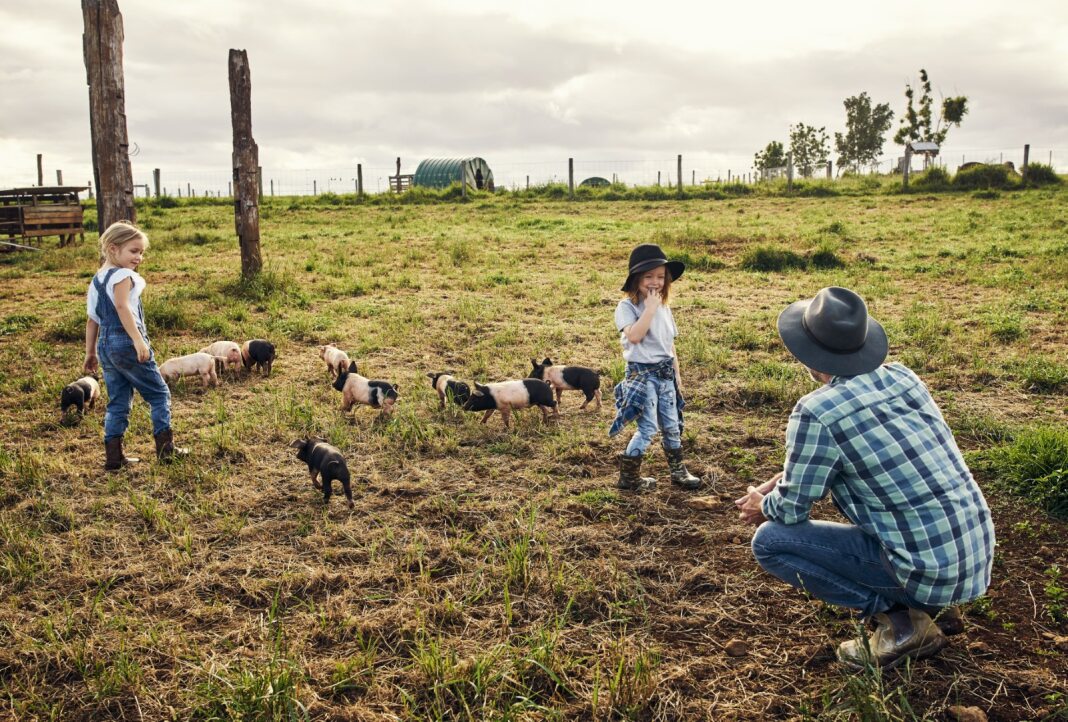 Brighter days ahead for Jane's family farm