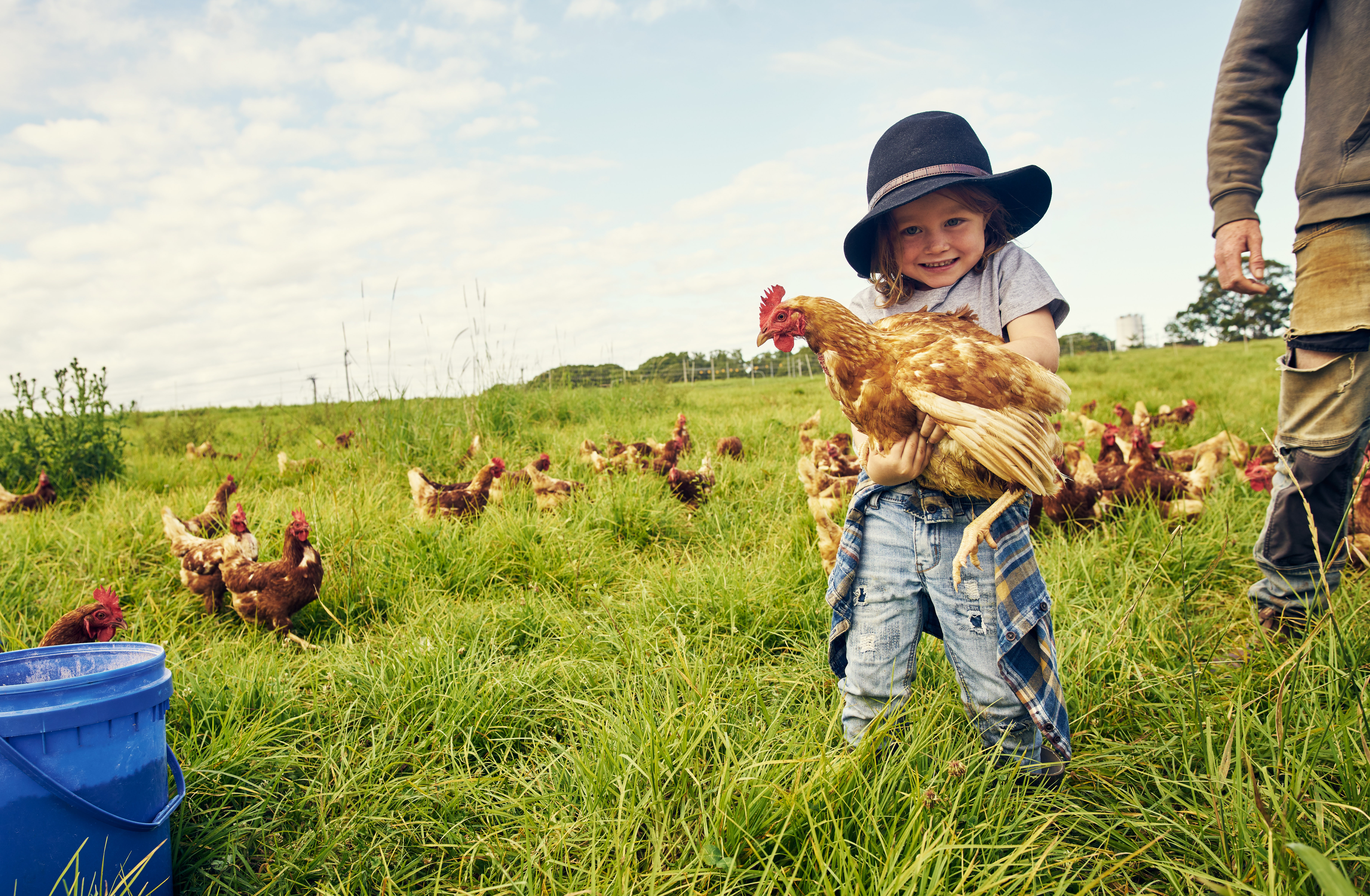 Succession Planning for Farming Families