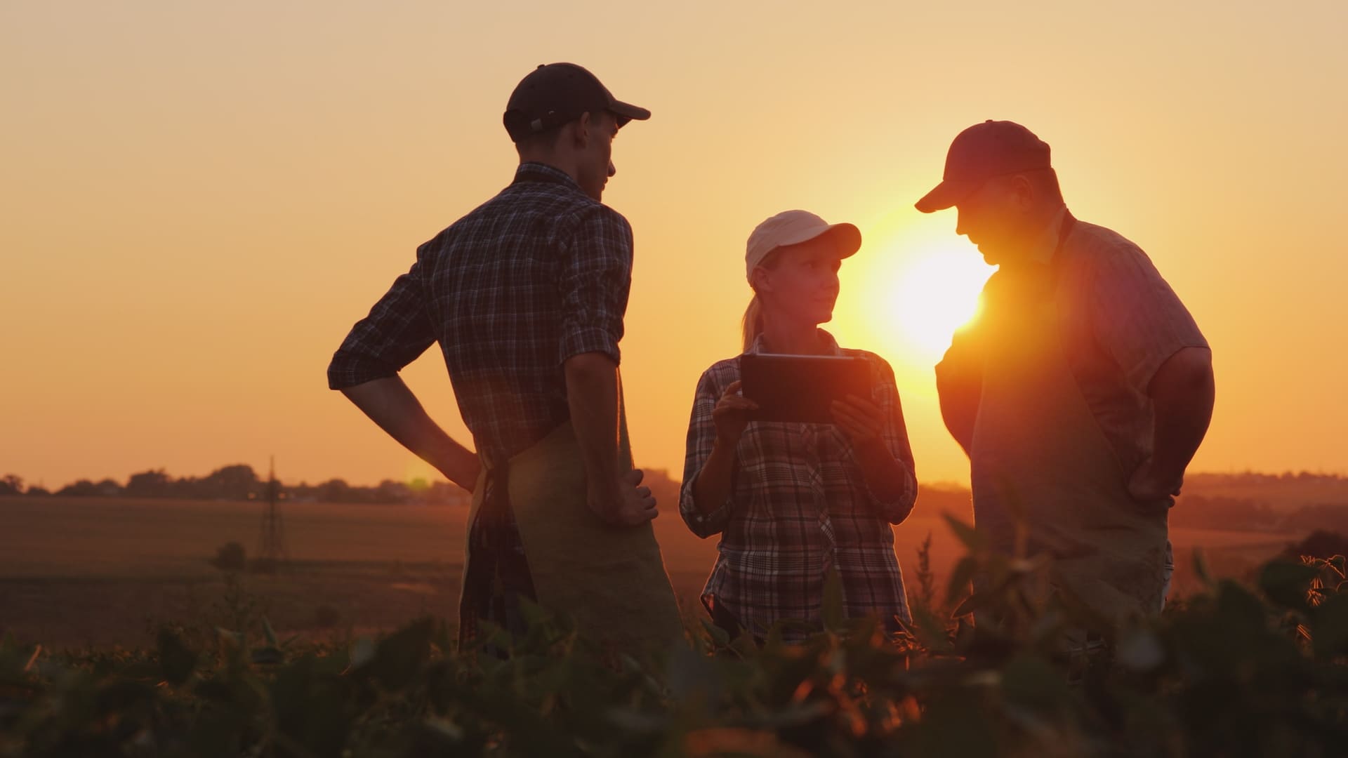 Start Succession Planning Early