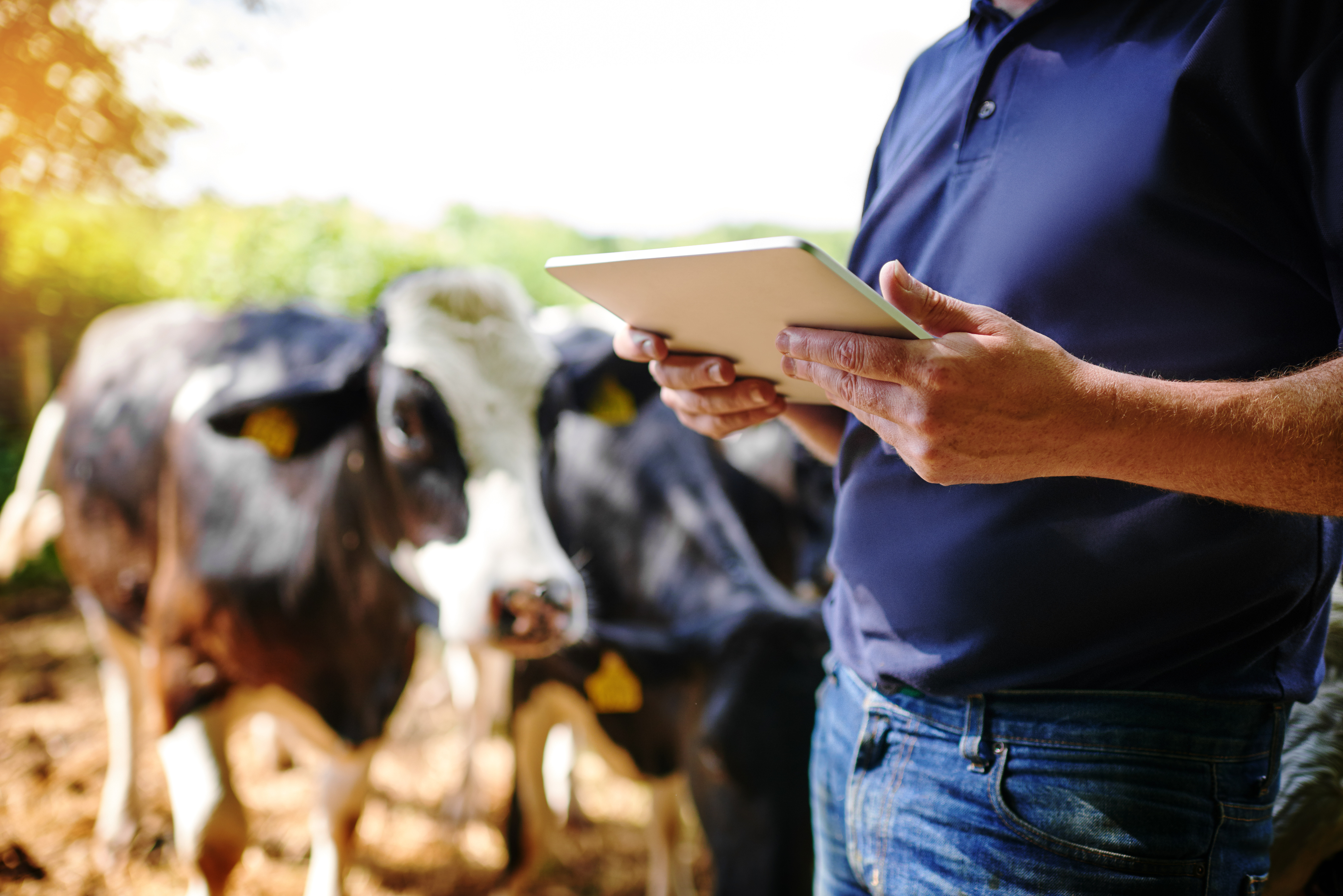 Farm Tax Planning